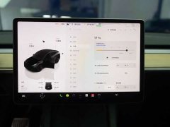 Tesla Model Y Long Range All-Wheel Drive - ფოტო 16