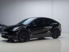 Tesla Model Y Long Range All-Wheel Drive - ფოტო 2