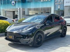 Tesla Model Y Long Range All-Wheel Drive - ფოტო 1