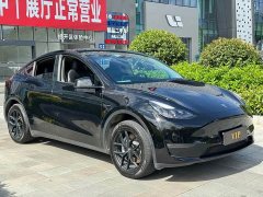 Tesla Model Y Long Range All-Wheel Drive - ფოტო 3