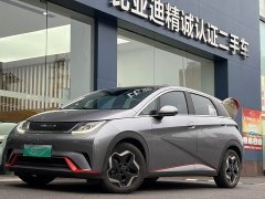 BYD Dolphin 405km Freedom Edition - ფოტო 1
