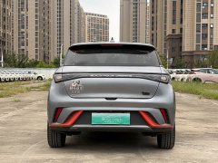 BYD Dolphin 405km Freedom Edition - ფოტო 7