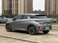 BYD Dolphin 405km Freedom Edition - ფოტო 8