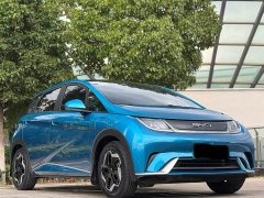 BYD Dolphin 405km Freedom Edition - ფოტო 3