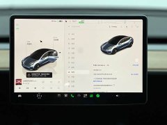 Tesla Model 3 2022 Rear-Wheel Drive - ფოტო 7