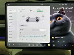 NIO ES6 75kWh - ფოტო 15
