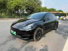 Tesla Model Y Long Range All-Wheel Drive - ფოტო 1