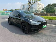 Tesla Model Y Long Range All-Wheel Drive - ფოტო 3