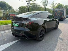 Tesla Model Y Long Range All-Wheel Drive - ფოტო 4