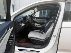 Geely Xingrui 2.0T Diesel Flagship - ფოტო 4