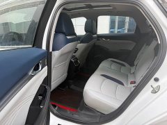 Geely Xingrui 2.0T Diesel Flagship - ფოტო 5
