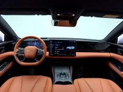 BYD Dolphin Facelift 650 Smart Drive Edition - ფოტო 5