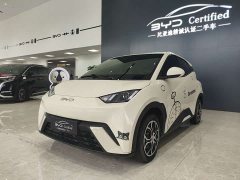 BYD Seagull 305km Vitality Edition - ფოტო 1