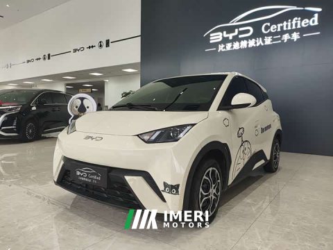 2025 BYD Seagull 305km Vitality Edition - ავტომობილი ჩინეთიდან
