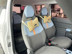 Geely Panda mini 120km Ultra-cute Bear - ფოტო 17