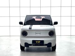 Geely Panda mini 120km Ultra-cute Bear - ფოტო 5