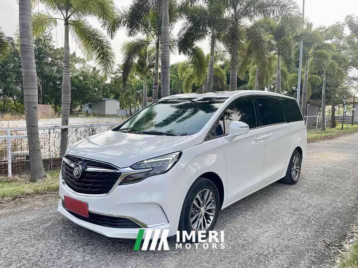 Buick GL8 ES Luxe 653T Comfort