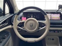 ORA Good Cat 400km Standard Range Luxury Lithium Iron Phosphate - ფოტო 12