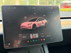 Tesla Model 3 2022 Rear-Wheel Drive - ფოტო 12