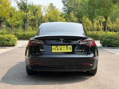 Tesla Model 3 2022 Rear-Wheel Drive - ფოტო 18