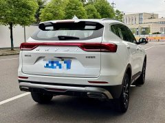 Haval H6 National Trend Edition 1.5T Automatic Urban Version - ფოტო 18