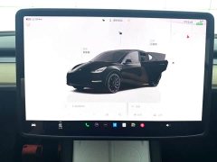 Tesla Model Y Rear-Wheel Drive - ფოტო 12