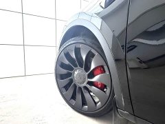 Tesla Model Y Rear-Wheel Drive - ფოტო 3