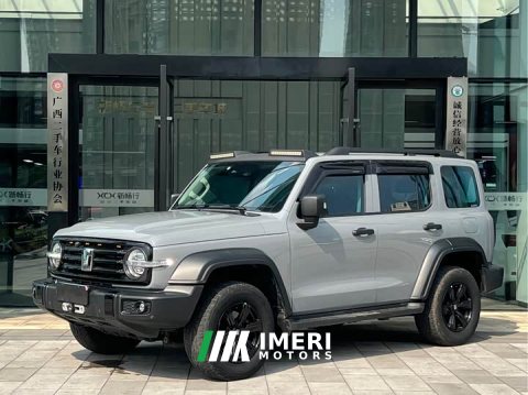 2021 Tank 300 Off-Road Edition 2.0T Conqueror - ავტომობილი ჩინეთიდან