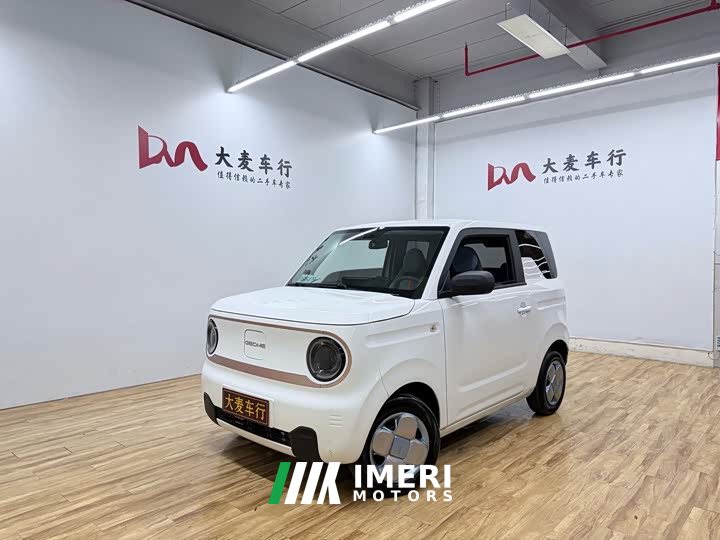 Geely Panda Mini 200km Endurance Edition - ავტომობილი ჩინეთიდან