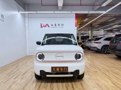 Geely Panda Mini 200km Endurance Edition - ფოტო 2