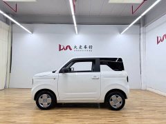 Geely Panda Mini 200km Endurance Edition - ფოტო 3