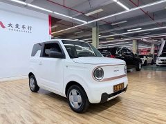 Geely Panda Mini 200km Endurance Edition - ფოტო 4
