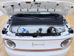 Geely Panda Mini 200km Endurance Edition - ფოტო 8