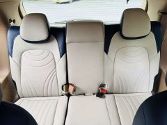 Buick GL8 2020 ES LuZun 653T Respect Edition - ფოტო 16
