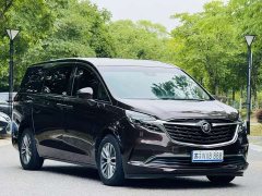 Buick GL8 2020 ES LuZun 653T Respect Edition - ფოტო 3