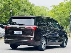 Buick GL8 2020 ES LuZun 653T Respect Edition - ფოტო 7