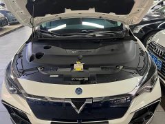 Nissan Venucia D60EV PLUS Comfort SI Trim - ფოტო 15