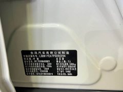 Nissan Venucia D60EV PLUS Comfort SI Trim - ფოტო 17