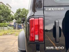Tank 300 2.0T Challenger - ფოტო 19