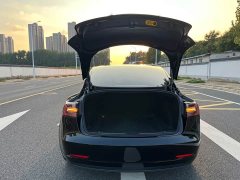 Tesla Model 3 Performance All-Wheel Drive - ფოტო 13