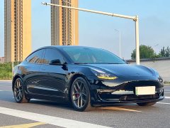 Tesla Model 3 Performance All-Wheel Drive - ფოტო 3