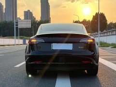 Tesla Model 3 Performance All-Wheel Drive - ფოტო 5