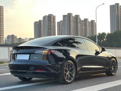 Tesla Model 3 Performance All-Wheel Drive - ფოტო 6