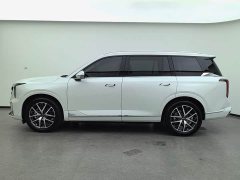 GAC Aion GS8 2022 Dual Engine 2.0T M Two-Wheel Drive Luxury Edition (7-Seater) - ფოტო 12