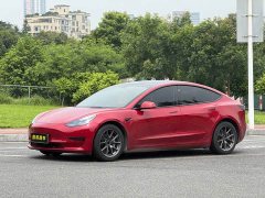 Tesla Model 3 Rear-Wheel Drive - ფოტო 1