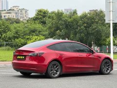 Tesla Model 3 Rear-Wheel Drive - ფოტო 12