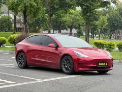 Tesla Model 3 Rear-Wheel Drive - ფოტო 3