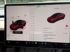 Tesla Model 3 Rear-Wheel Drive - ფოტო 9