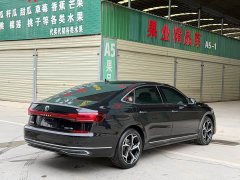 Volkswagen Passat 330TSI Starry Sky Luxury Edition - ფოტო 4