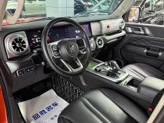 Tank 300 2021 Off-Road Edition 2.0T Conqueror - ფოტო 9